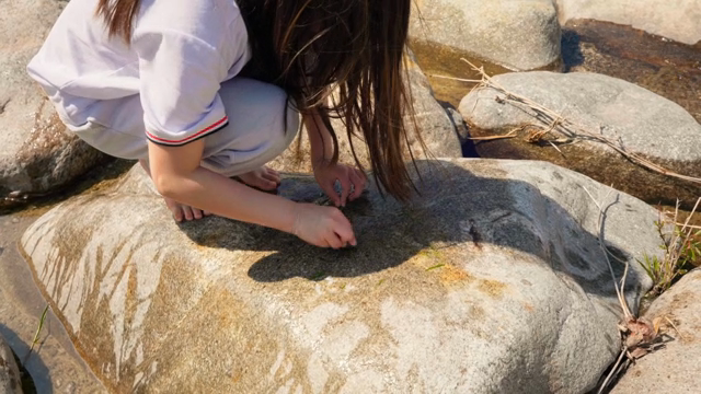 A child playing with grass on a rock