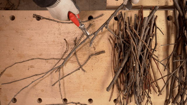 Trimmed wooden branches on a workbench