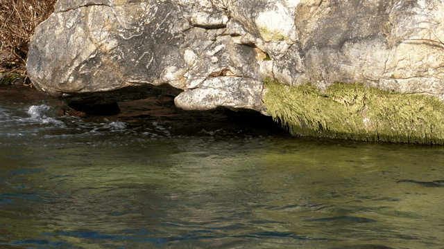 Stream flowing beneath rocks