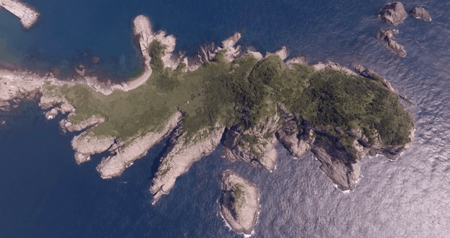 Aerial view of a lush green island