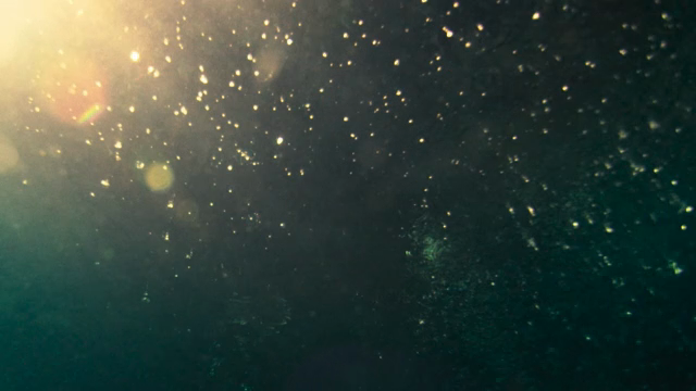Underwater scene with sunlight filtering through