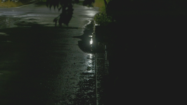 Rain falling on a wet street illuminated at night