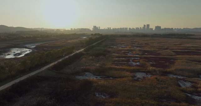 A vast field with a distant city skyline
