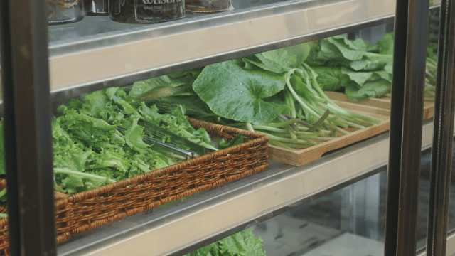 Fresh greens displayed in the refrigerator