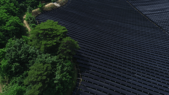 검은 그물과 나무가 있는 대규모 농장