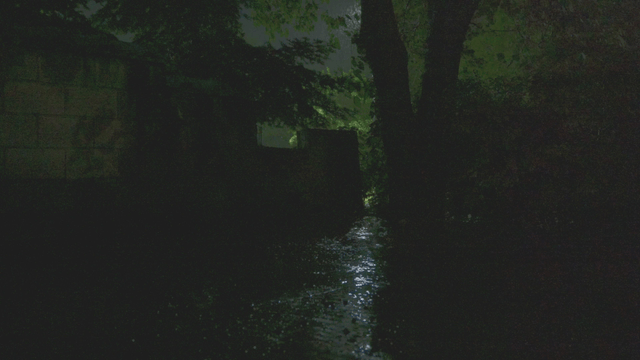 Heavy rain falling on dark forest path with dim light
