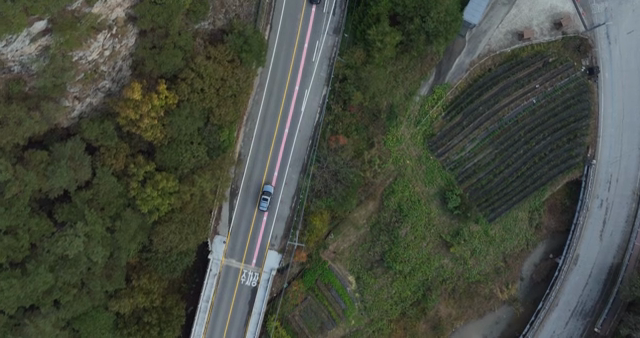 Aerial view of a road through a forest
