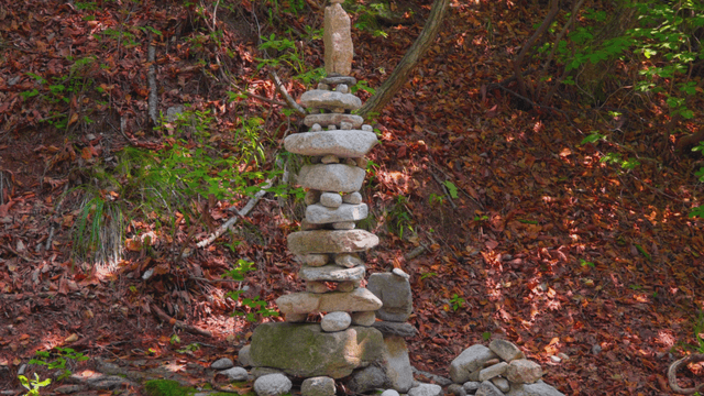Stone cairn stacked in forest