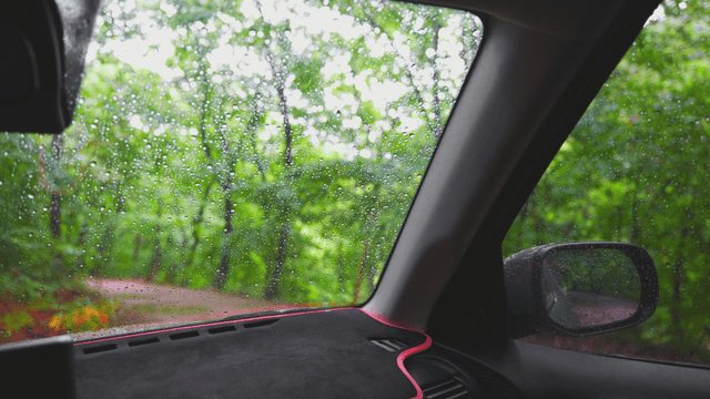 Rainy forest view from inside a car