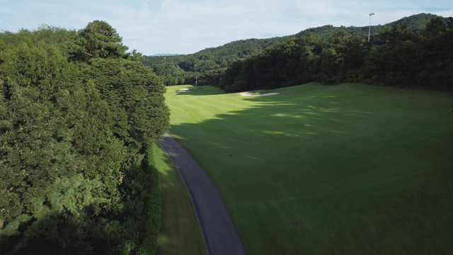 Golf course surrounded by lush greenery