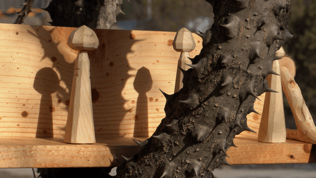 Thorny branches in front of a hanging wooden shelf