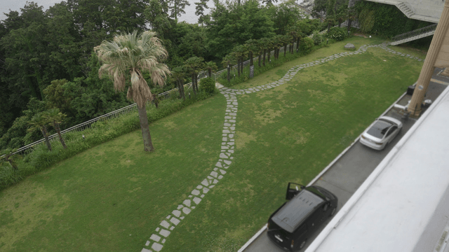 Green lawn with palm trees and parked cars