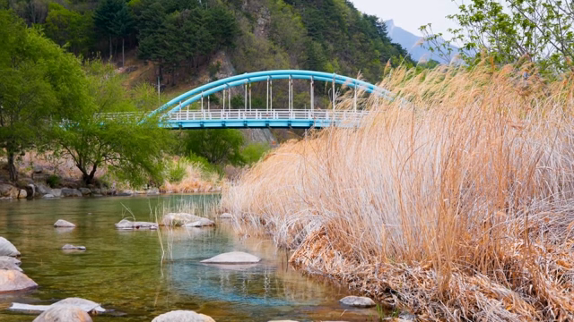 A serene river with a blue bridge