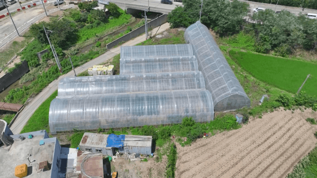 Greenhouses and fields near the road