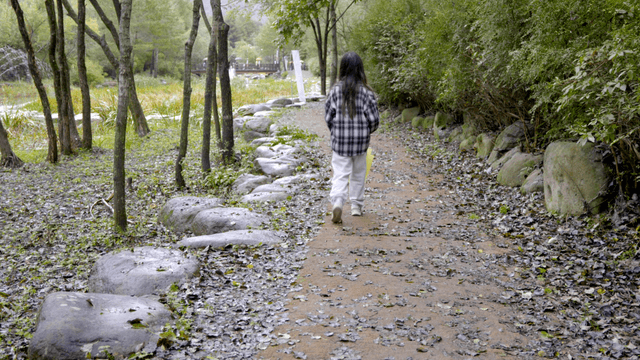 Woman with umbrella walking along leaf-covered path