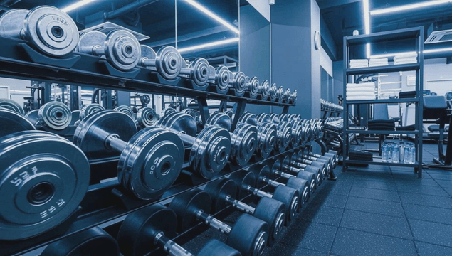 Well-equipped gym with dumbbells