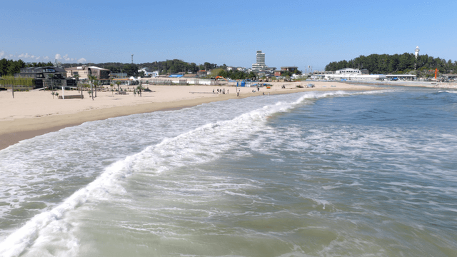 People playing in the waves on a sandy beach