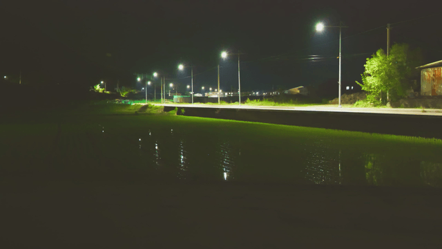 Night view of a rice field with streetlights