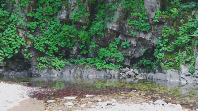 Stream flowing beneath giant tree cliff
