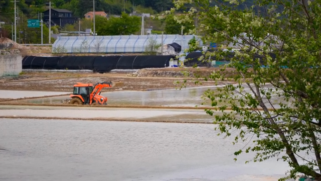 A tractor working in a flooded rice field
