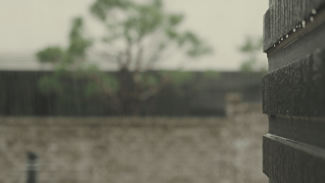 Raindrops on a wooden fence on a rainy day