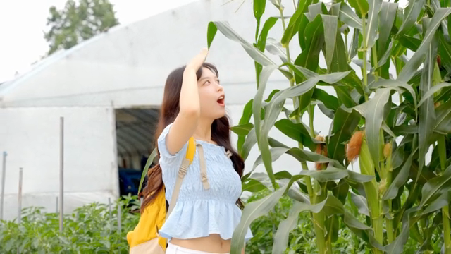옥수수밭을 탐험하는 젊은 여성
