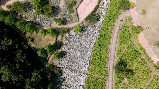 Aerial view of a lush green park with pathways
