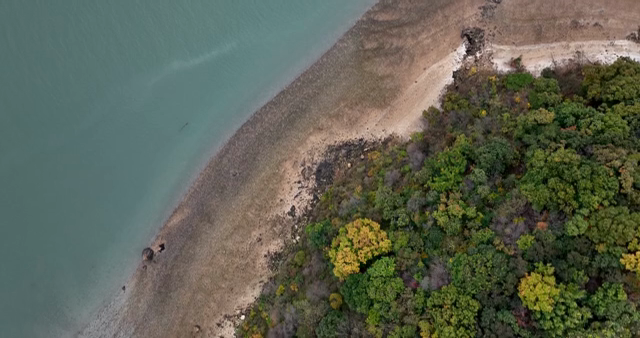 Aerial view of a forested coastline