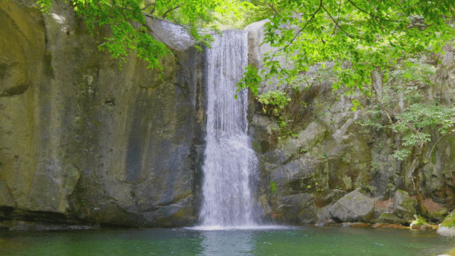Rough waterfall in green forest