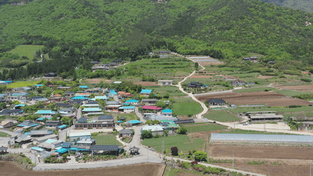 Rural village surrounded by green fields