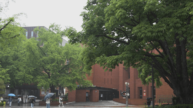 People walking with umbrellas on a rainy day