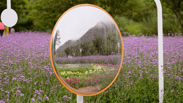 Circular mirror set in a purple flower field on a rainy day