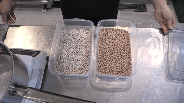 Plastic bean container on kitchen counter