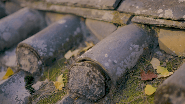 Fallen leaves on a traditional Korean tiled roof