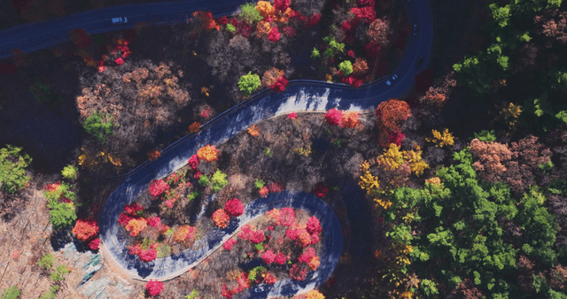 Winding road through colorful autumn forest
