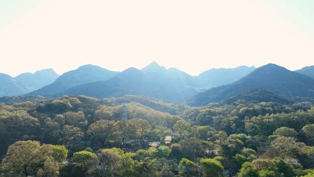 뜨거운 태양 아래 푸른 숲이 있는 산 풍경