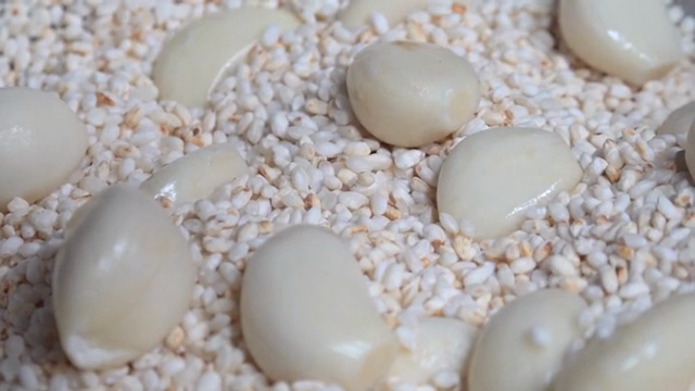 Garlic being stir-fried with rice