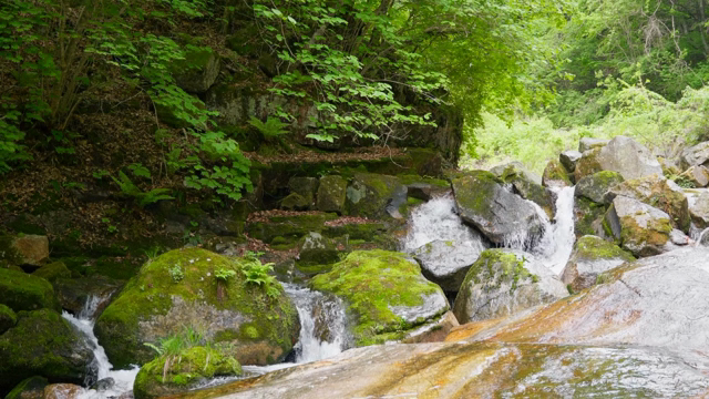A small waterfall in a lush forest