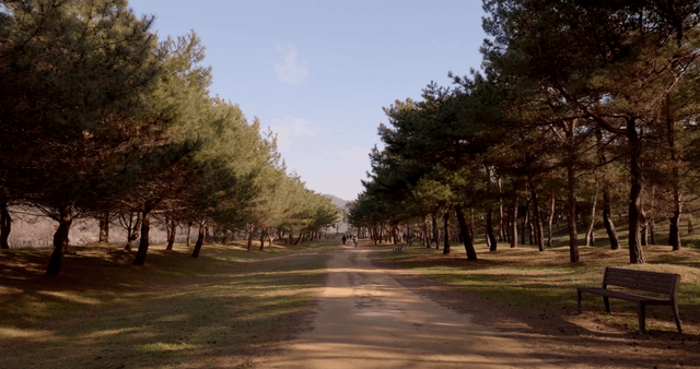 A serene forest path with distant walkers