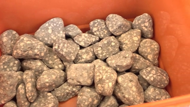 White spotted stone in a barrel