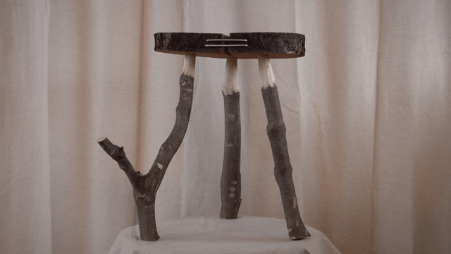 Simple wooden chair made from natural branches