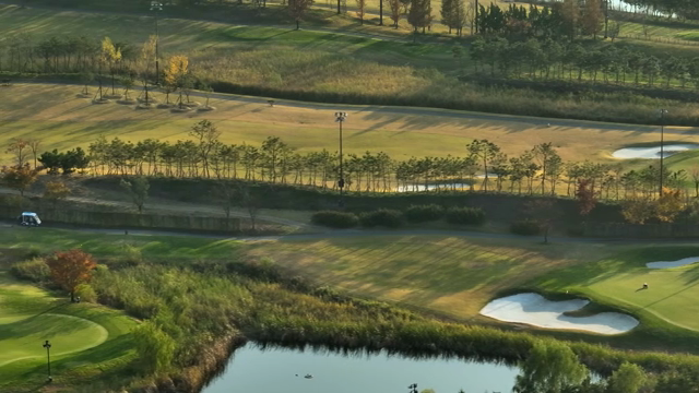 Aerial view of a golf course with trees