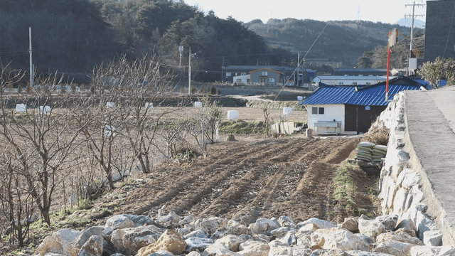 Rural field beside village house