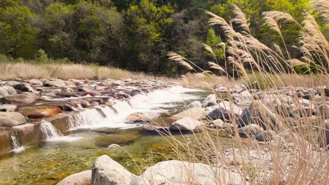 A serene river flowing through rocks