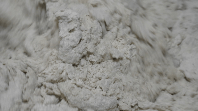 Buckwheat flour being kneaded into dough