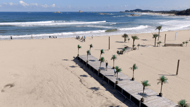 Sandy beach with palm trees and waves