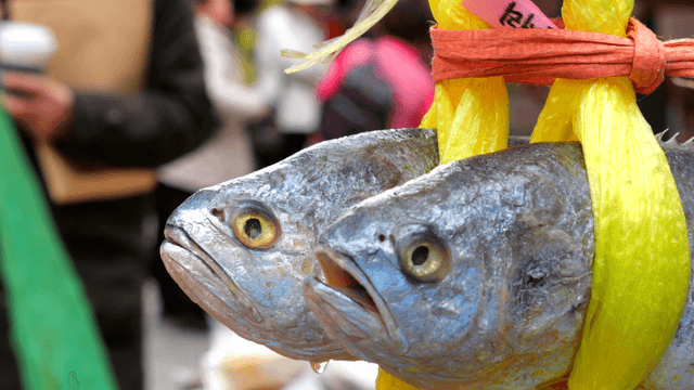 Fish hanging in a bustling market