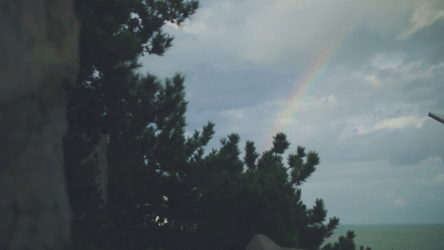 A rainbow over a coastal forest