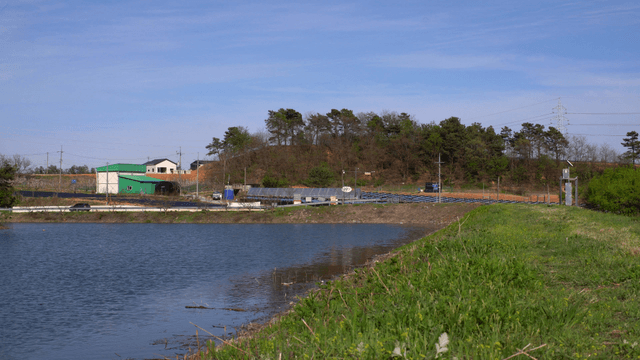 Serene lake with green fields and trees