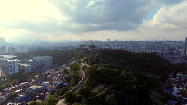Sprawling cityscape with lush greenery